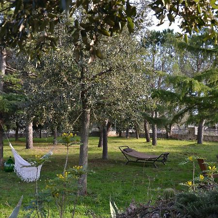 Margherita Apartment - Villaggio Di Mary Locorotondo Εξωτερικό φωτογραφία